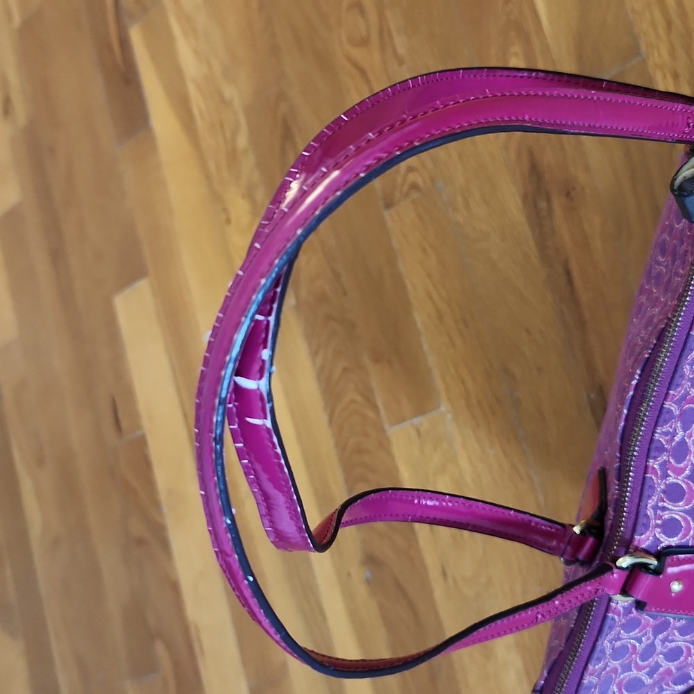 Coach Poppy Metallic Signature - Picture 7 of 15